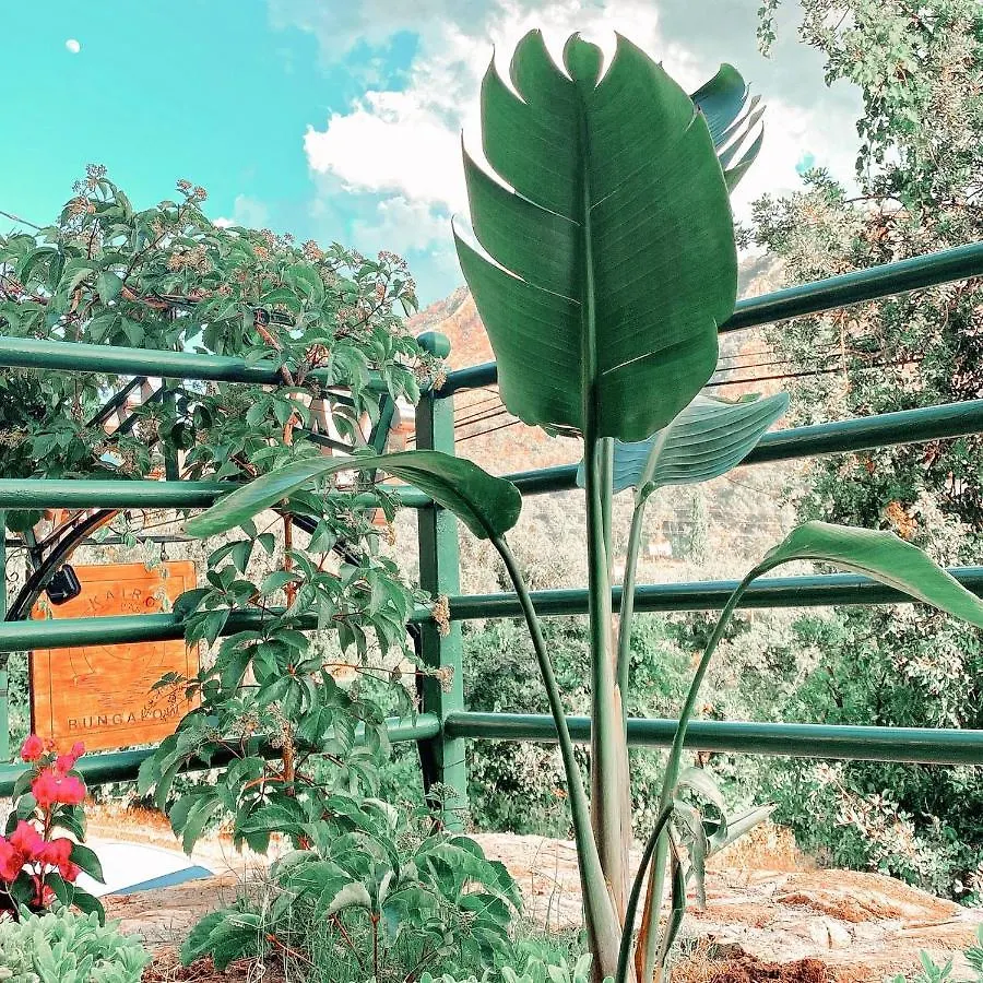 Kairos Pasa Bungalow Turgutkoy